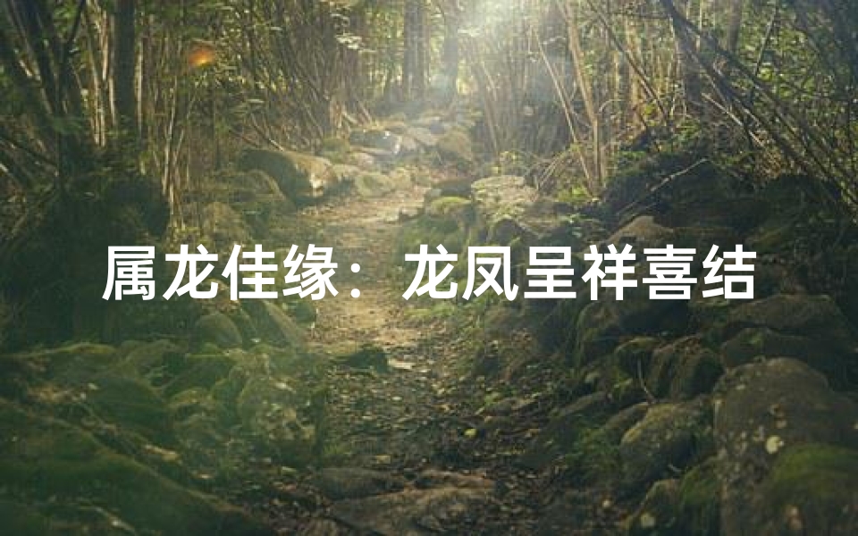 属龙佳缘：龙凤呈祥喜结良缘