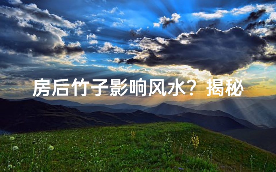 房后竹子影响风水？揭秘家居风水之谜