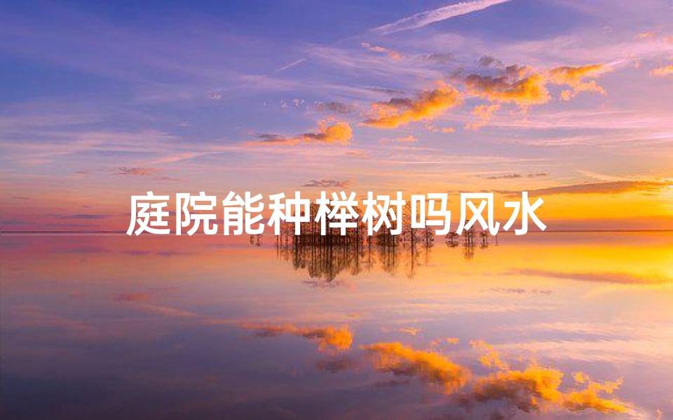 庭院能种榉树吗风水