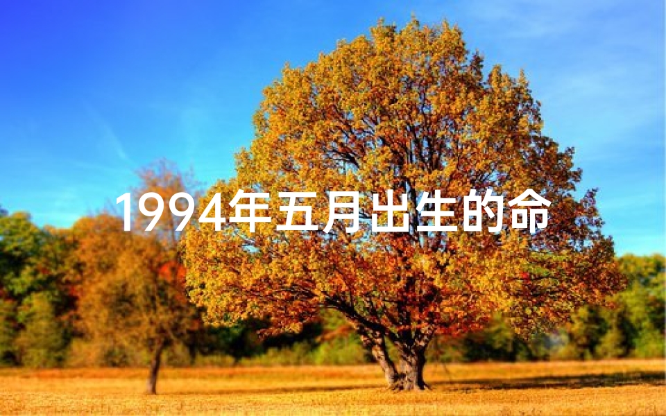 1994年五月出生的命怎么样—1994年5月命格：时光印记的轮回时刻