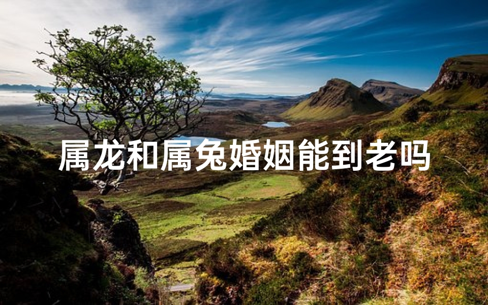 属龙和属兔婚姻能到老吗-属龙的和属兔的结婚好吗