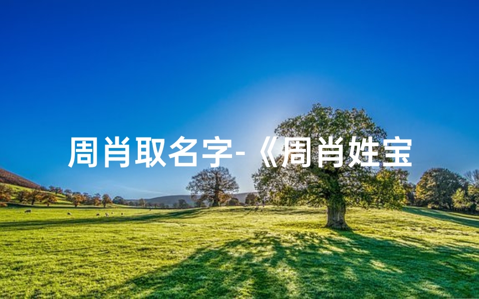 周肖取名字-《周肖姓宝宝男孩起名大全：精选佳名助成长》