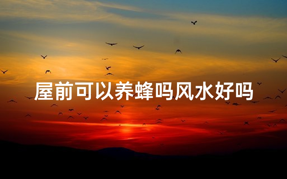 屋前可以养蜂吗风水好吗