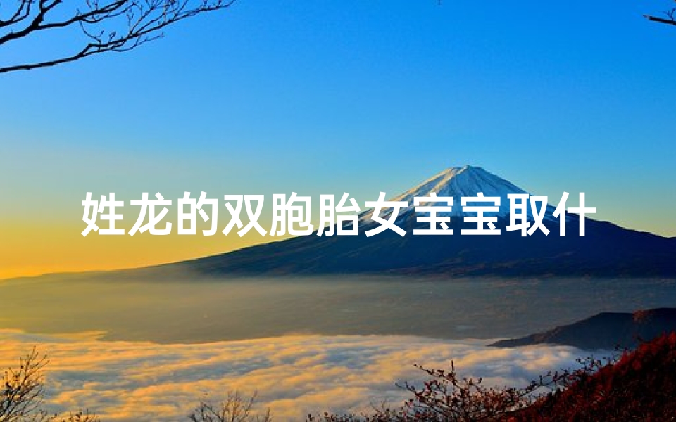 姓龙的双胞胎女宝宝取什么名字好_龙年女宝宝双福字取名大全：吉祥如意好名字精选