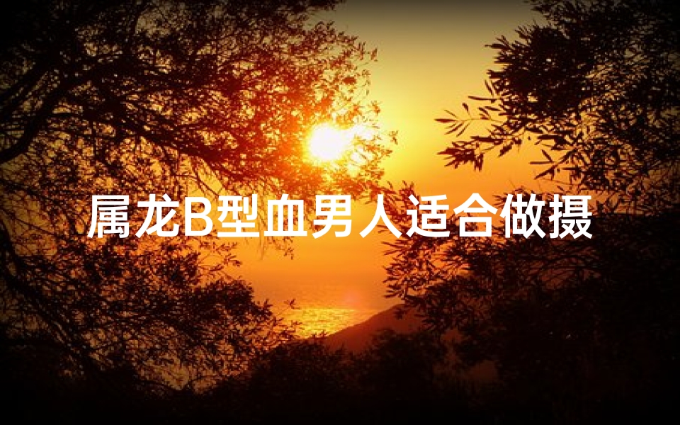 属龙B型血男人适合做摄影师吗,属龙b型血的性格特点