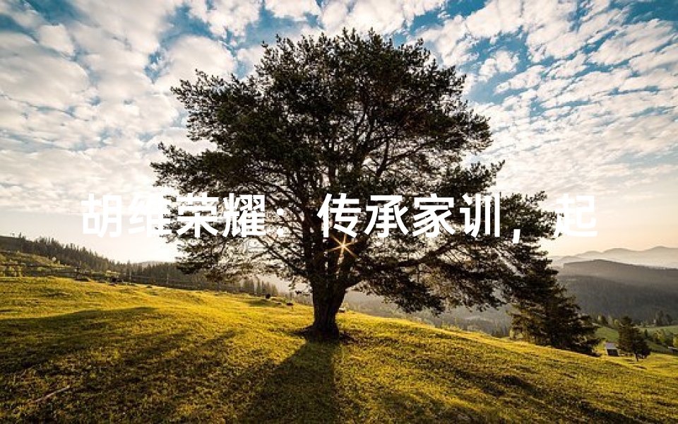 胡维荣耀：传承家训，起名男宝宝彰显家风