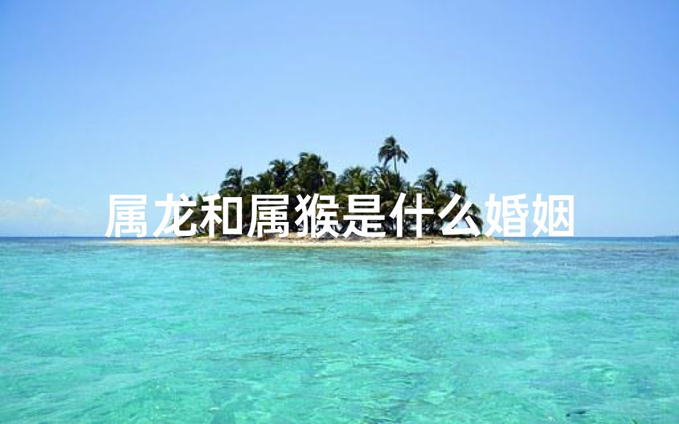 属龙和属猴是什么婚姻