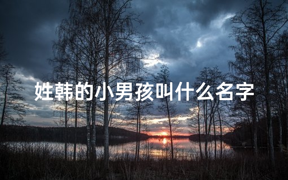 姓韩的小男孩叫什么名字好？—《韩氏萌娃：帅气宝宝取名大揭秘》