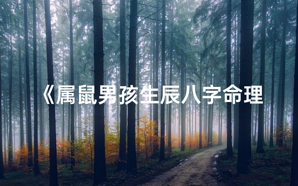 《属鼠男孩生辰八字命理揭秘》