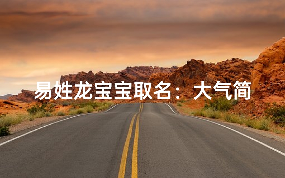 易姓龙宝宝取名：大气简单，龙腾四海