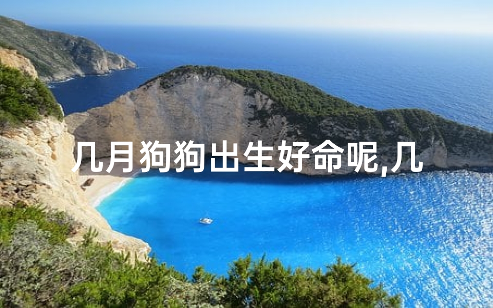 几月狗狗出生好命呢,几月狗狗出生好命呢视频