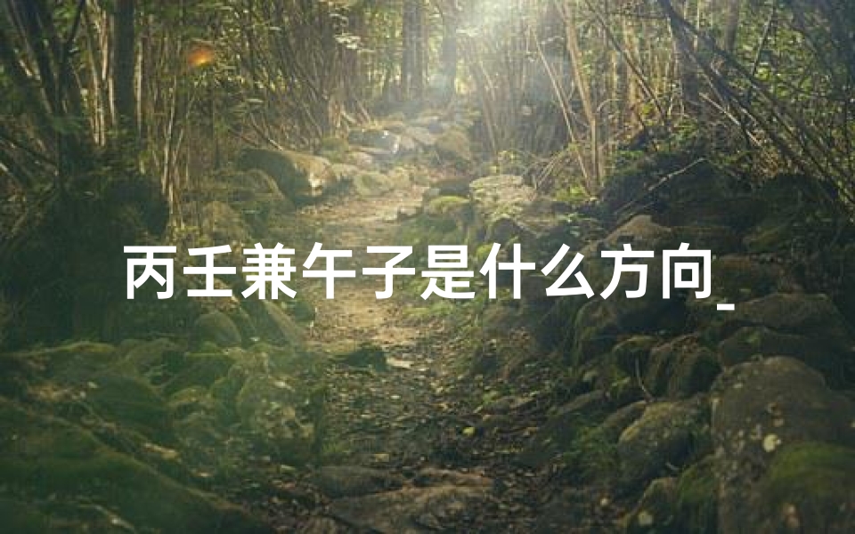 丙壬兼午子是什么方向_《丙壬兼子午十二水口：揭秘吉凶奥秘》