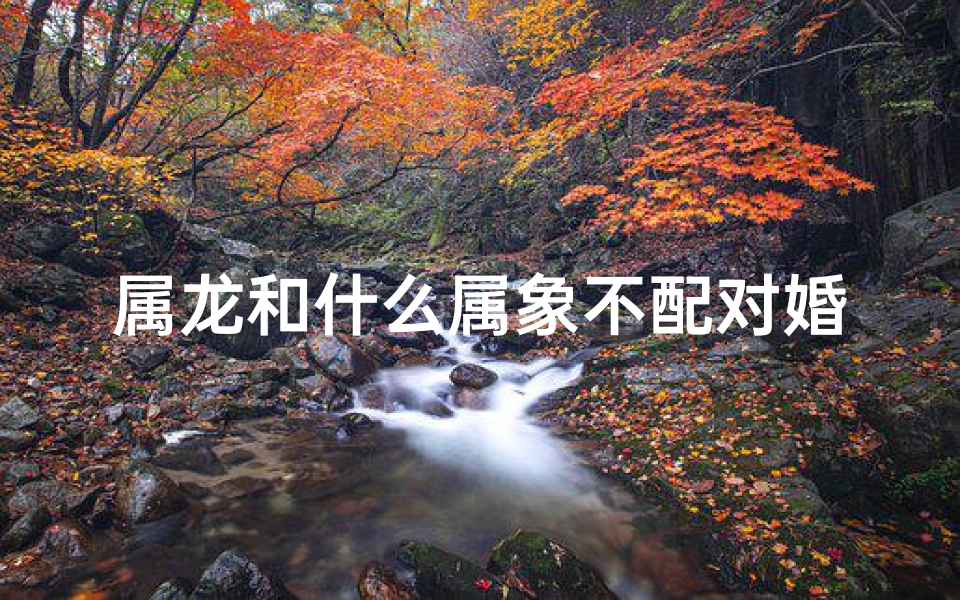 属龙和什么属象不配对婚姻
