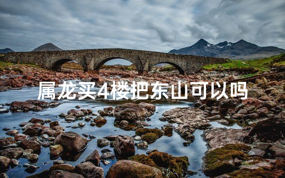 属龙买4楼把东山可以吗-属龙买4楼东山可否？风水解析揭秘
