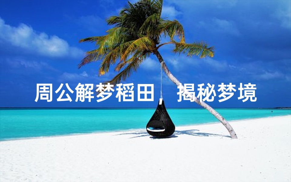 周公解梦稻田，揭秘梦境中的象征意义