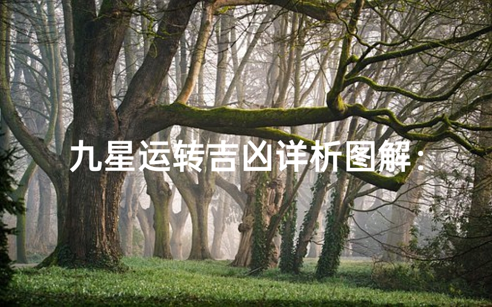 九星运转吉凶详析图解：风水奥秘尽在其中