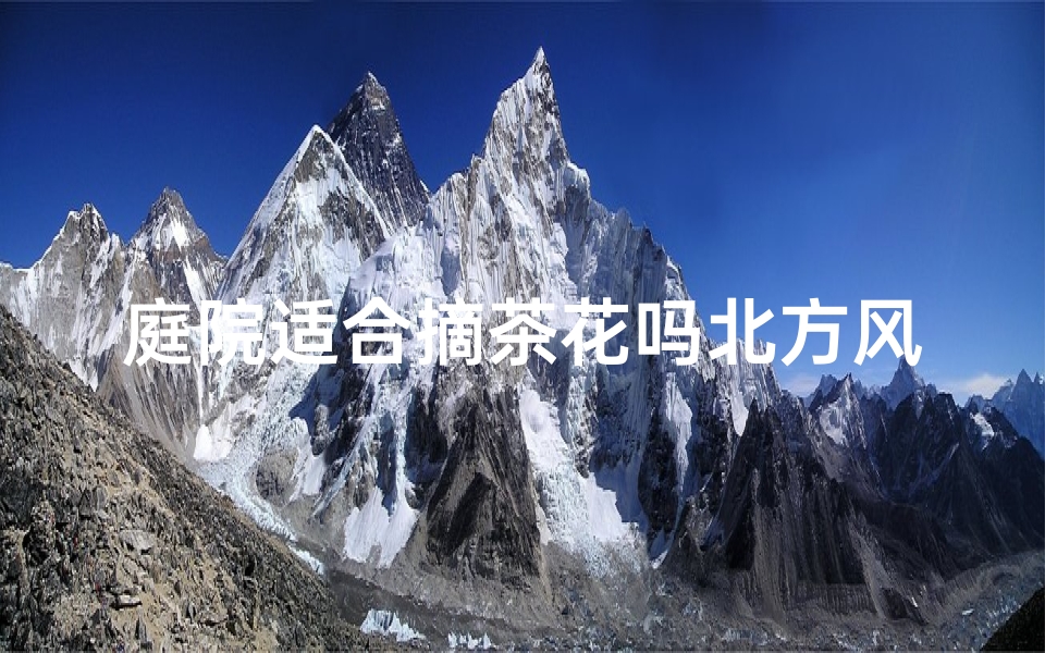 庭院适合摘茶花吗北方风水_北方庭院风水：摘茶花适宜否？