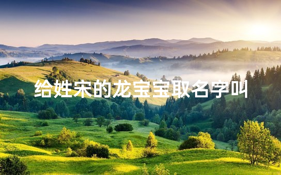 给姓宋的龙宝宝取名字叫什么、《宋氏龙宝宝，吉祥名字大揭晓》