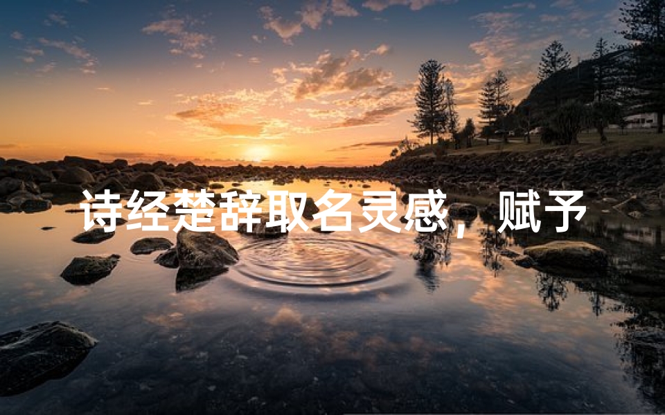 诗经楚辞取名灵感，赋予孩子诗意的文化底蕴