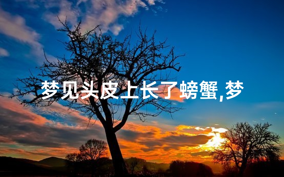梦见头皮上长了螃蟹,梦见头上有螃蟹是什么意思啊