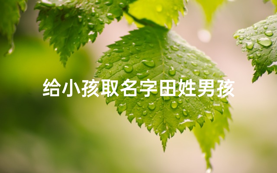 给小孩取名字田姓男孩