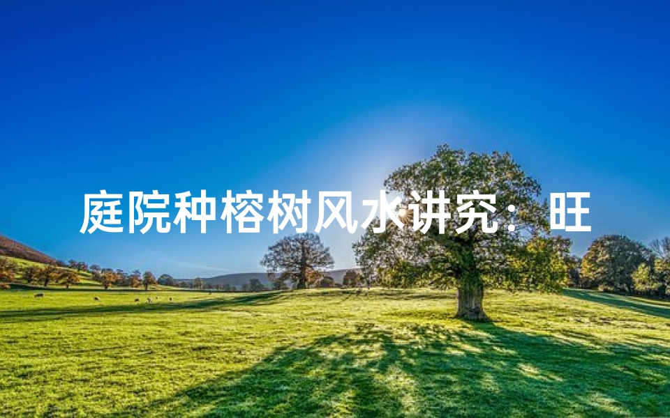 庭院种榕树风水讲究：旺家添福之道