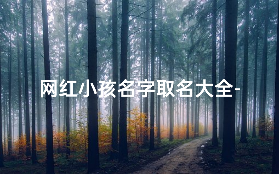 网红小孩名字取名大全-十大网红小孩