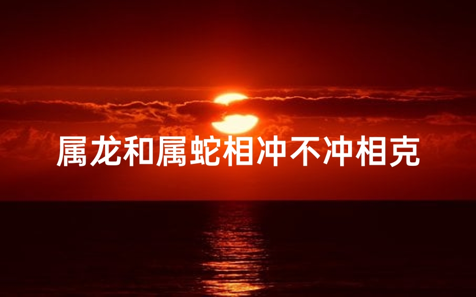 属龙和属蛇相冲不冲相克