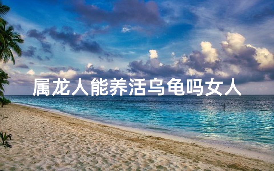 属龙人能养活乌龟吗女人(属龙的不适合养乌龟吗)