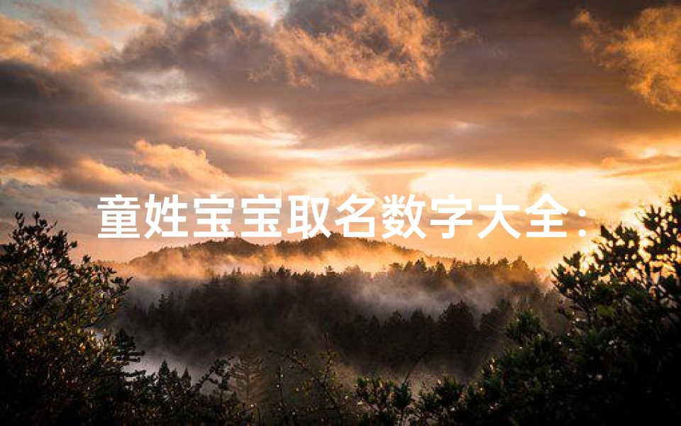 童姓宝宝取名数字大全：男孩名字精选攻略