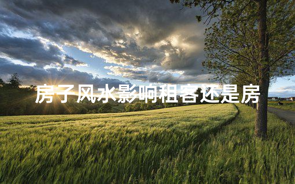 房子风水影响租客还是房主—风水与房主缘分深浅揭秘