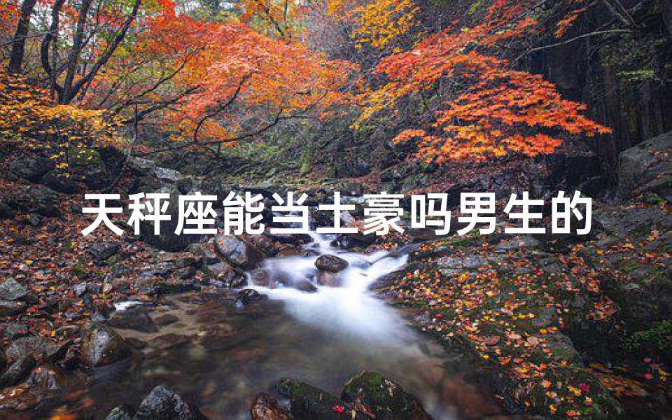 天秤座能当土豪吗男生的性格