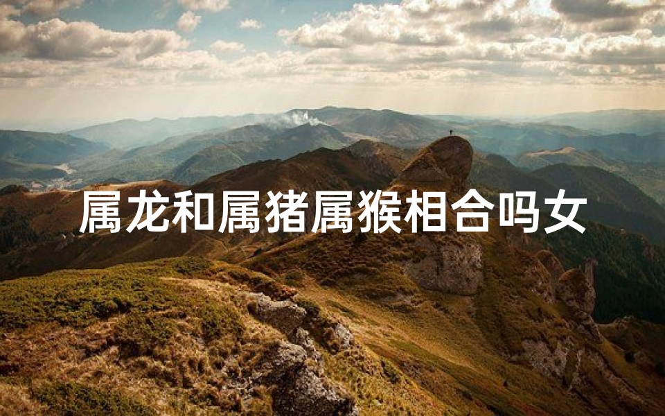属龙和属猪属猴相合吗女,属龙和属猪女的婚姻怎么样