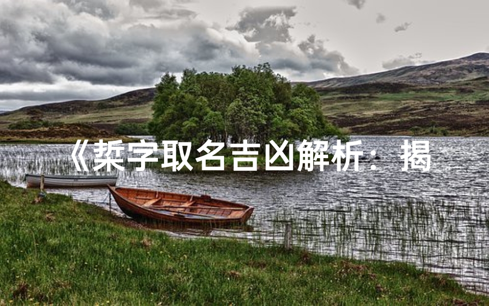 《梊字取名吉凶解析：揭秘名字背后的奥秘》