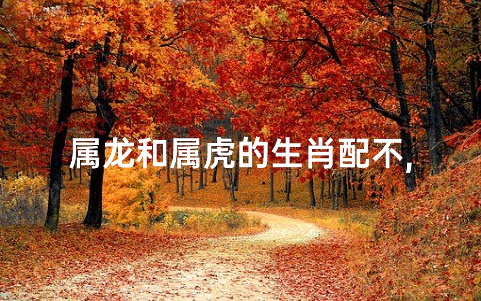 属龙和属虎的生肖配不,龙虎相争：生肖配对中的神秘力量