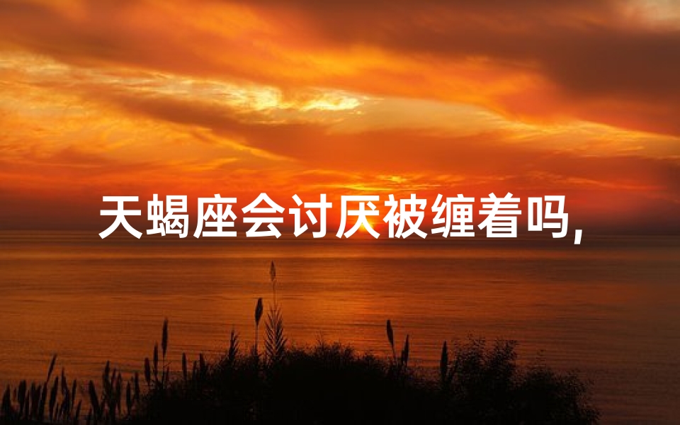 天蝎座会讨厌被缠着吗,天蝎座会讨厌前任找他吗