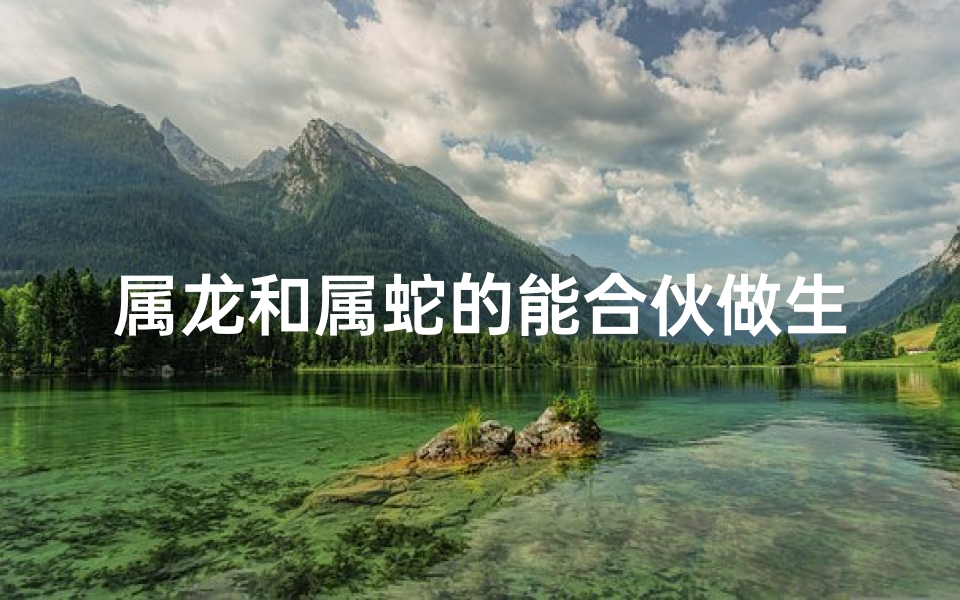 属龙和属蛇的能合伙做生意吗_属龙属蛇能携手共进？合伙奥秘大揭秘