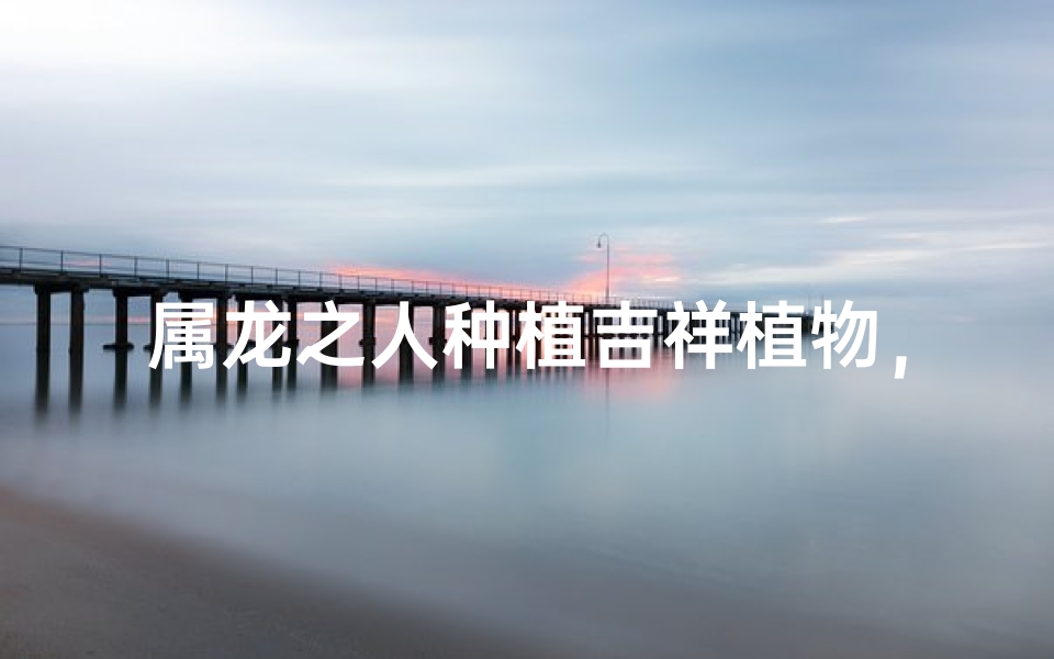 属龙之人种植吉祥植物，好运连连