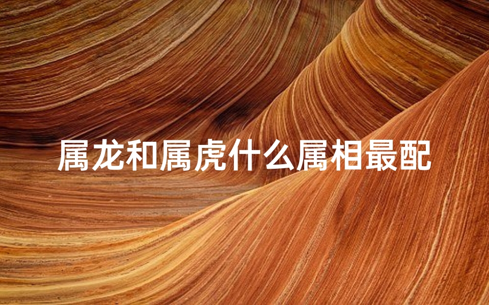 属龙和属虎什么属相最配(属龙和属虎什么属相最配对)