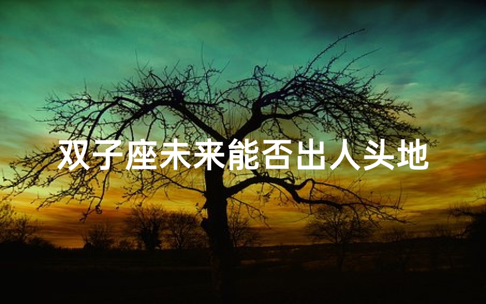 双子座未来能否出人头地？