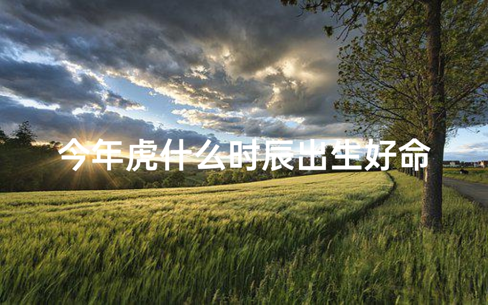 今年虎什么时辰出生好命_2023虎年最佳时辰：生辰八字决定命运