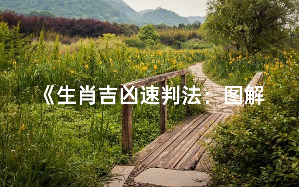 《生肖吉凶速判法：图解视频揭秘》