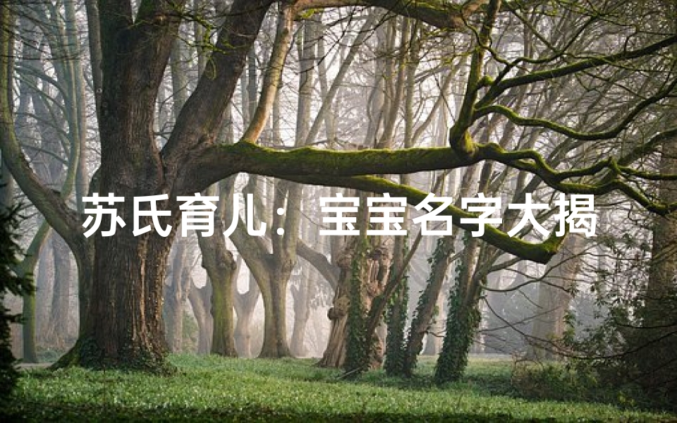 苏氏育儿：宝宝名字大揭秘，创意无限
