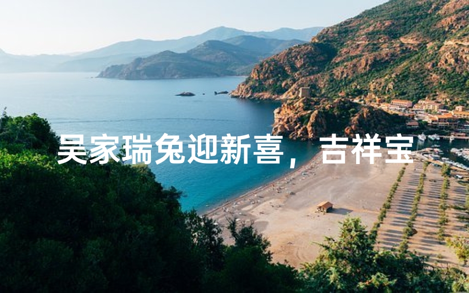 吴家瑞兔迎新喜，吉祥宝宝启航程
