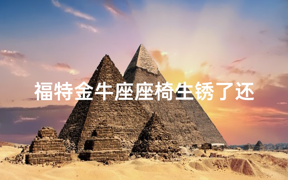 福特金牛座座椅生锈了还能用吗