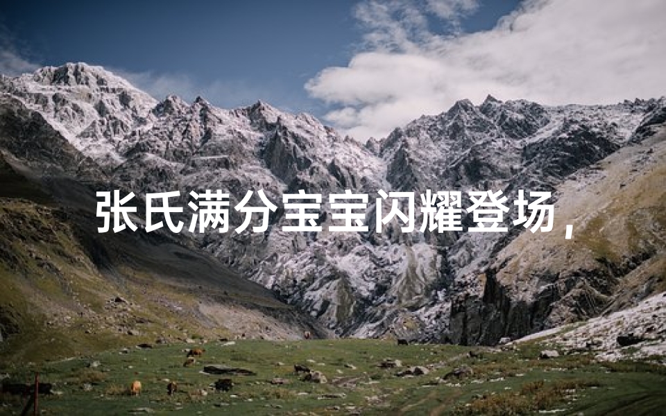 张氏满分宝宝闪耀登场，智慧之星闪耀人间
