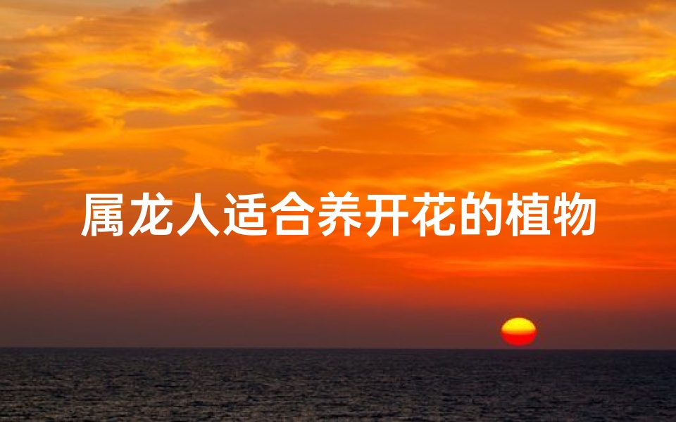 属龙人适合养开花的植物吗-属龙人适合养开花的植物吗女生