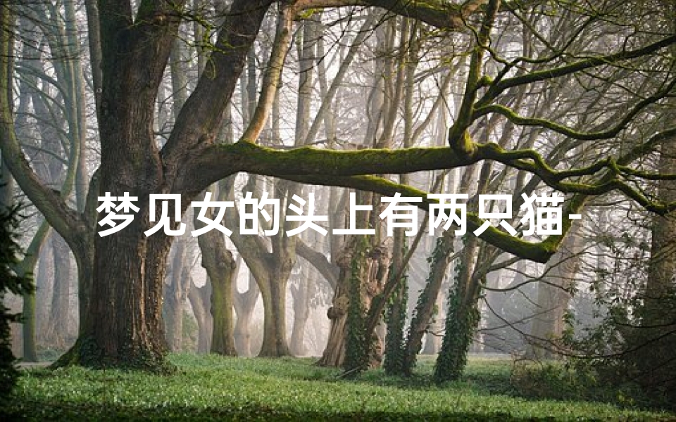 梦见女的头上有两只猫-梦见女的头上有两只猫是啥意思