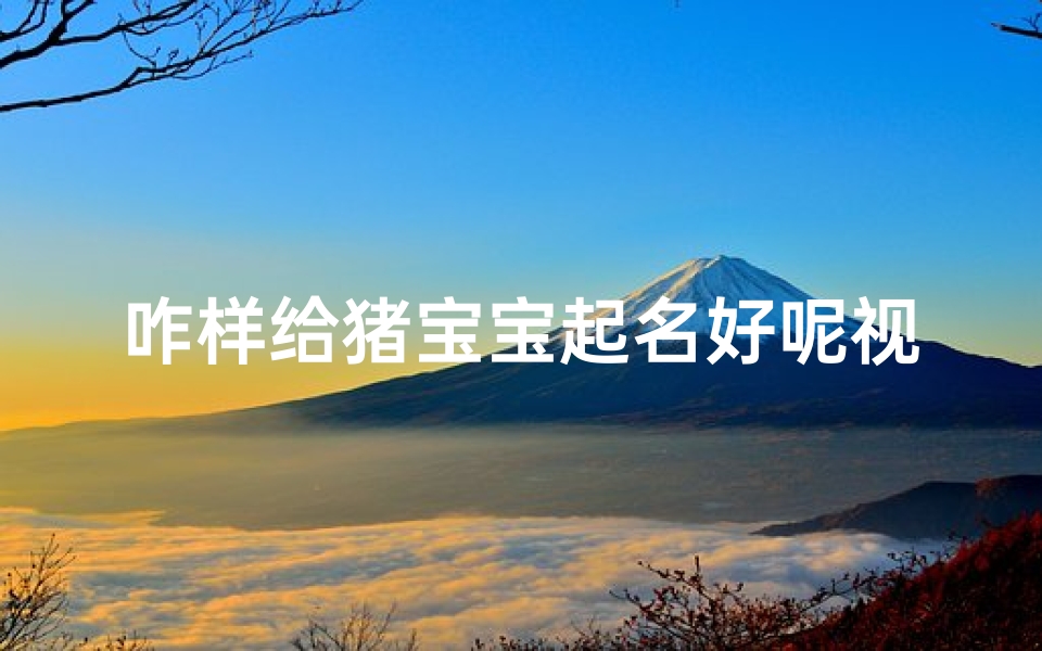 咋样给猪宝宝起名好呢视频(猪宝宝起什么名好)