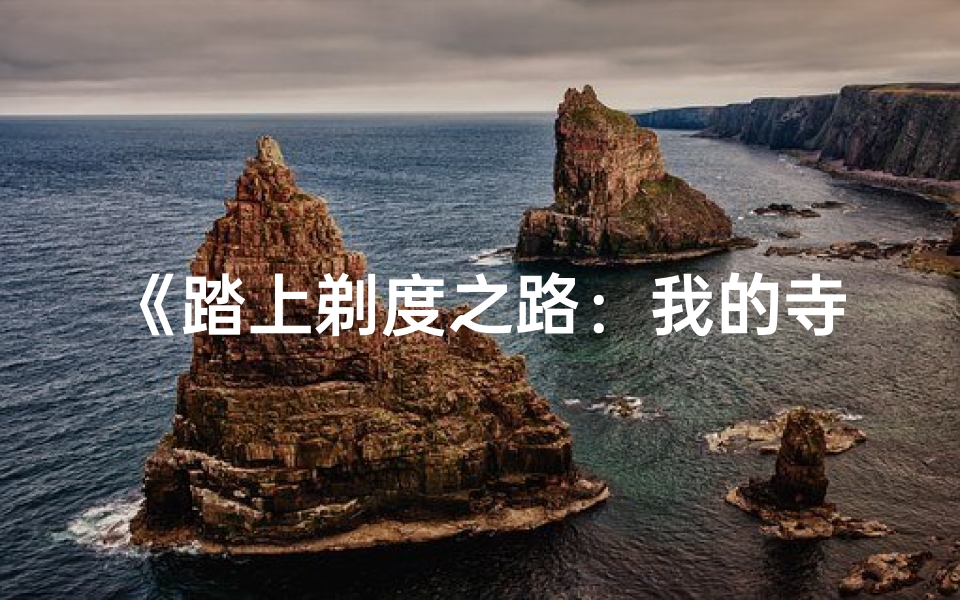 《踏上剃度之路：我的寺庙出家之旅》
